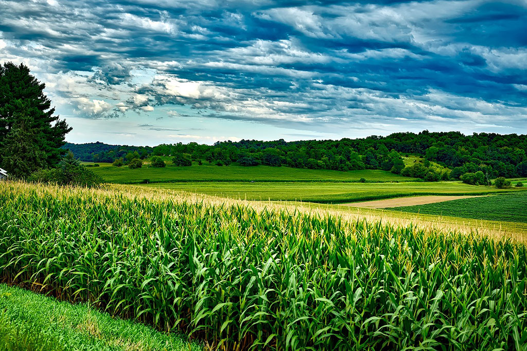 weather and agricultural commodities