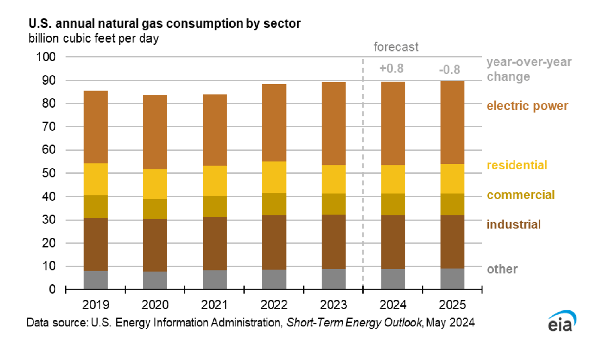 US natural gas consumption by sector