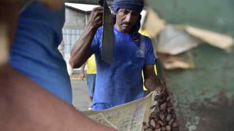 A man in a blue shirt scoops the beans into sacks