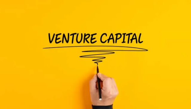 The role of venture capital firms in pioneering sustainable development in technology sector