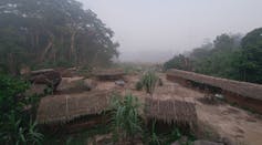 Several grass and wooden homes inside the Mai-Ndombe forest.