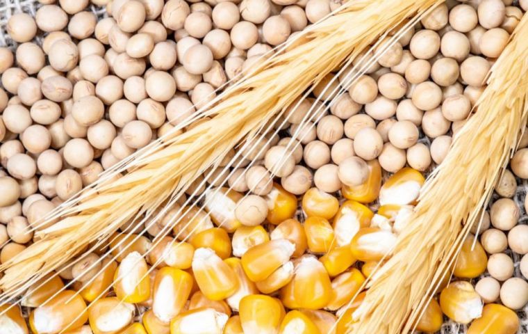 The Cereal Price Index rose 6.3% from April, reflecting growing concerns about unfavorable crop conditions curbing yields for the 2024 harvests